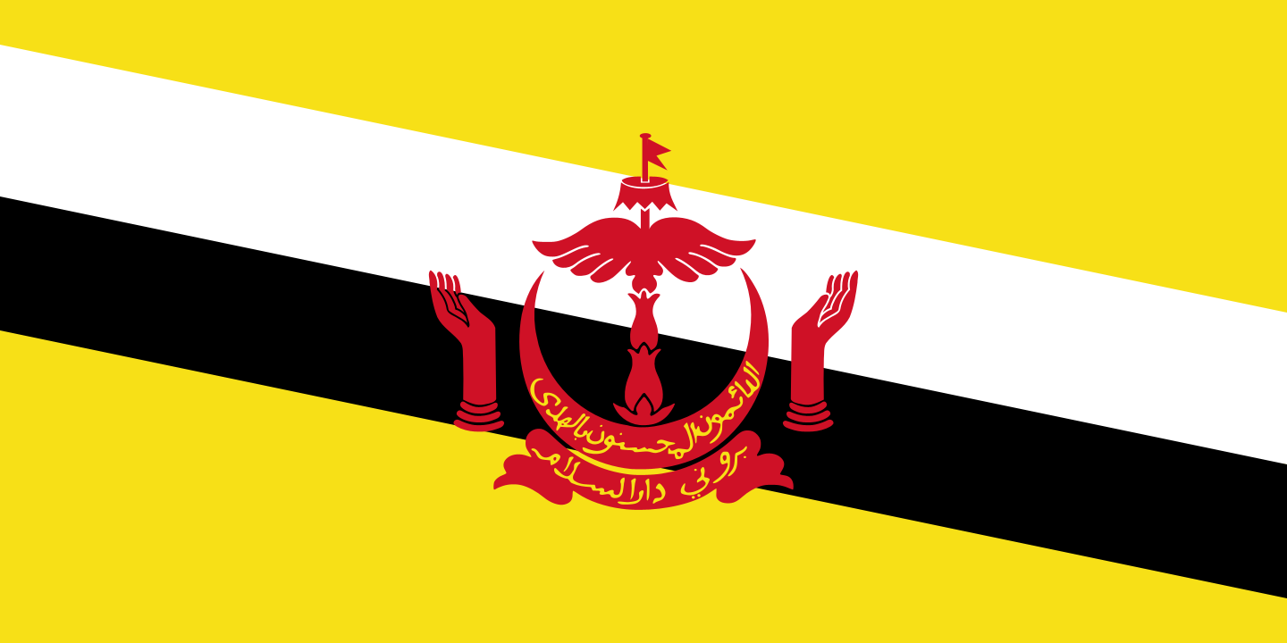 Brunei Flag Color