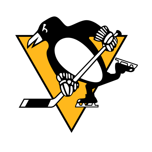 Pittsburgh Penguins Colors