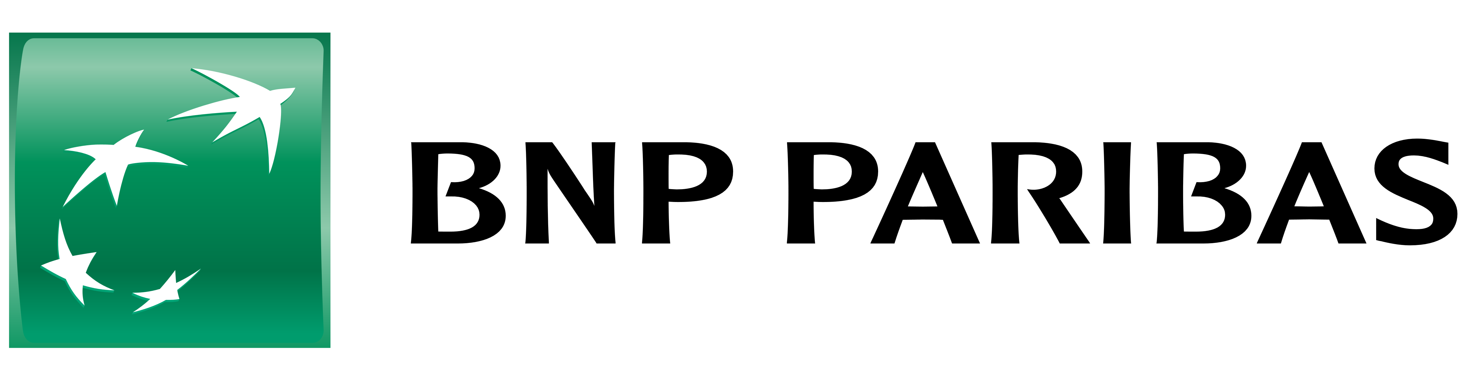 BNP Paribas Logo Color Codes 2 Difference RGB HEX CMYK