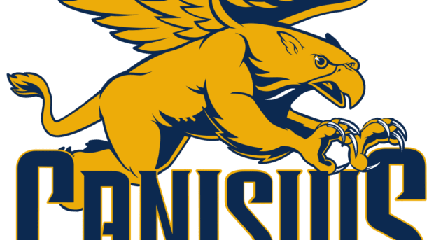 Canisius College Colors colors