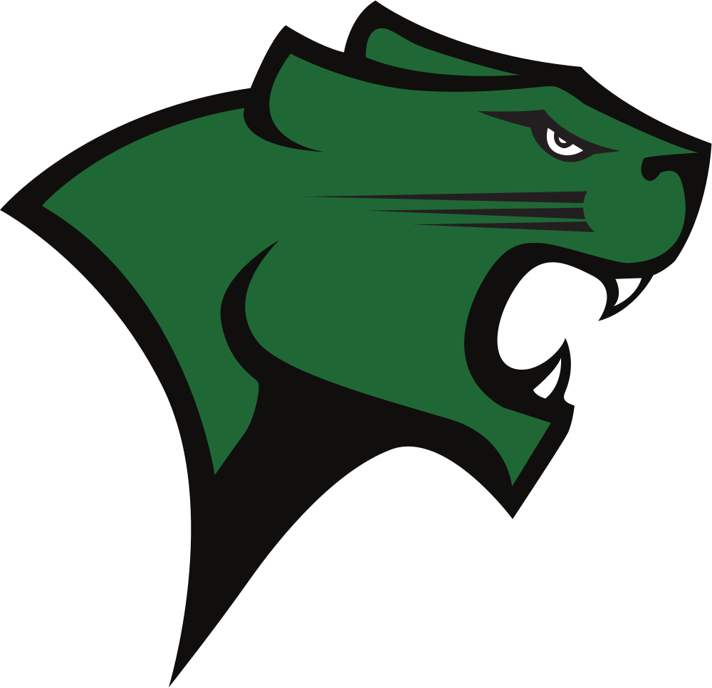 Chicago State University Colors