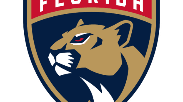 Florida Panthers Colors colors